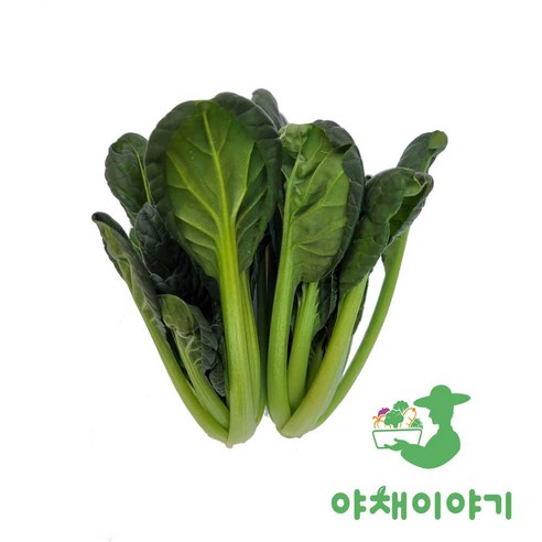 야채이야기 싱싱한 그린 비타민 채소 특수 야채 500g 다채, 1개, 500g