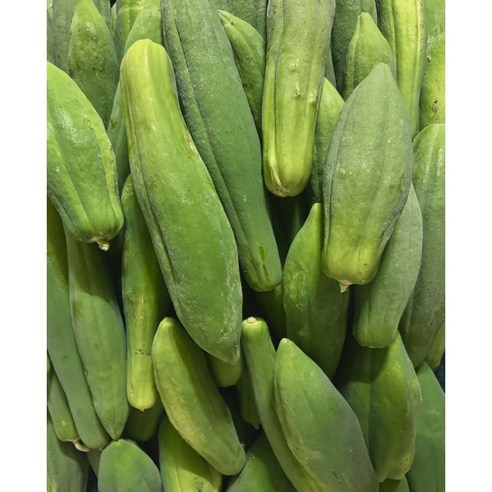 그린 파파야 1kg 생파파야 green papaya 쏨땀
