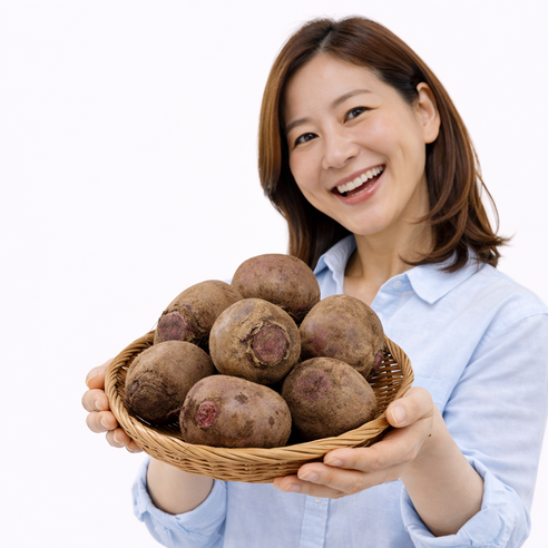 노씨고집 제주도 정품 햇 레드비트