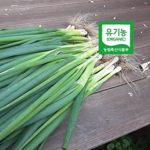 엔젤농장 유기농 대파 흙대파 생대파