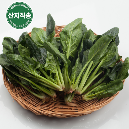 [당일수확] 국내산 남해 해풍 시금치 (뿌리까지 달콤한 명품 시금치) 산지직송, 1개, 2kg
