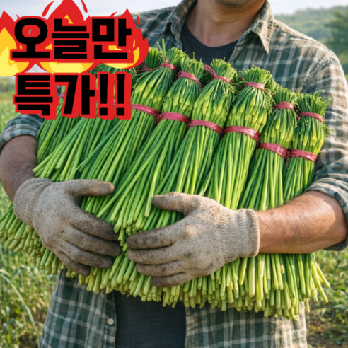 [최상급 특품] 국산 햇 마늘쫑 특가 제철수확 산지발송, 1박스, 400g(특품)