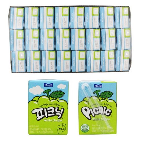 피크닉 청포도