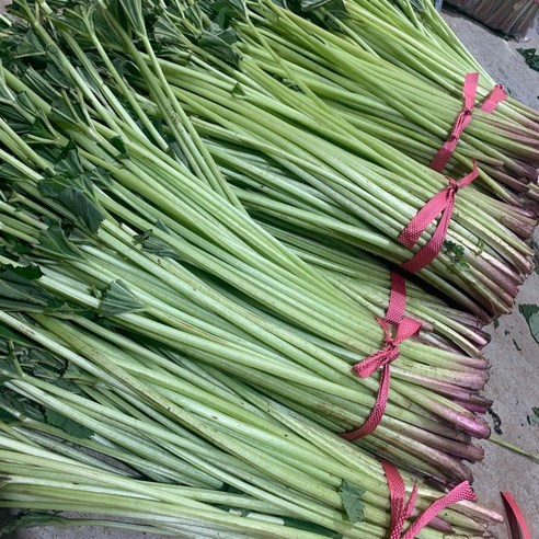 오병이어농산 국내산 싱싱한 머위대 1kg,2kg, 1단, 머위대 2kg(특품), 1kg