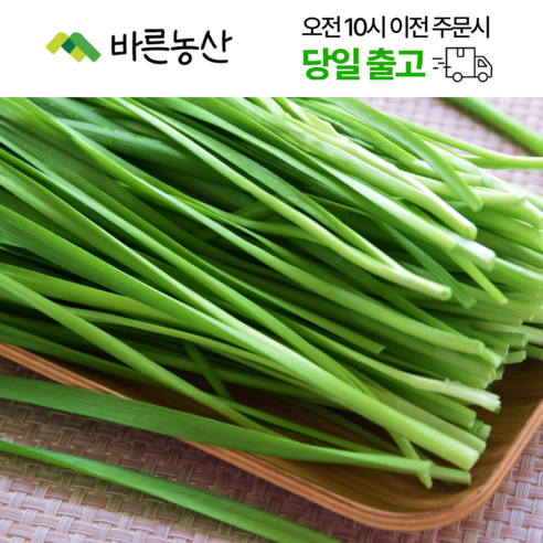 < 바른농산 > 당일수확 국내산 부추 1kg, 2kg, 4kg, 8kg