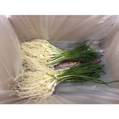 경북 성주 세척 묶음 달래 1kg