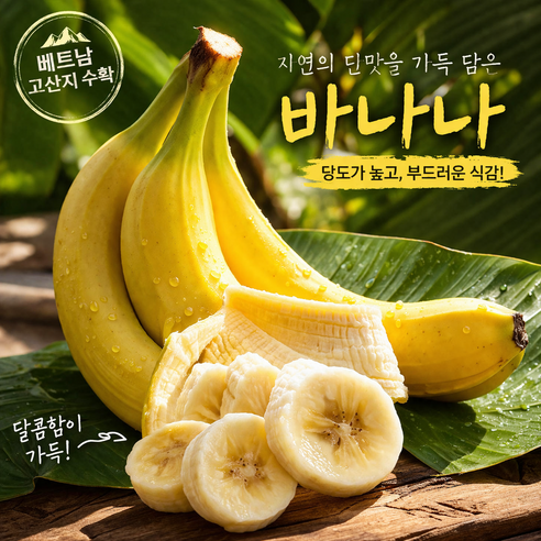 베트남 해발 700m에서 수확한 고당도 돌 바나나 1송이 2송이 3송이/ high land 고산지 바나나 후숙후 드시면 더 달아요, 1개, 2.0~2.4kg내외(2송이)