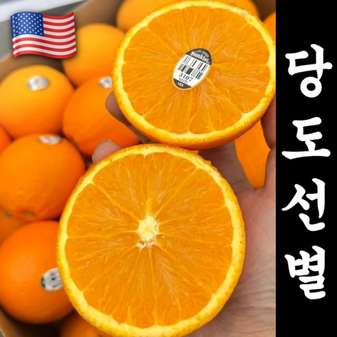 [시장최저가] 백화점급 고당도Brix 블랙라벨 오렌지