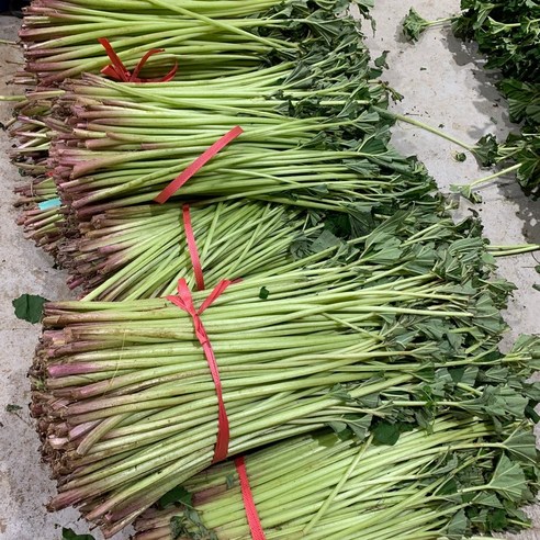 오병이어농산 국내산 싱싱한 머위대 1kg,2kg, 1단, 머위대 1kg(상품), 1kg