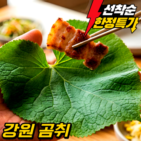 [한정수량 초특가] 강원도 곰취 눈꽃곤달비 곰취나물 당일수확 산지직송