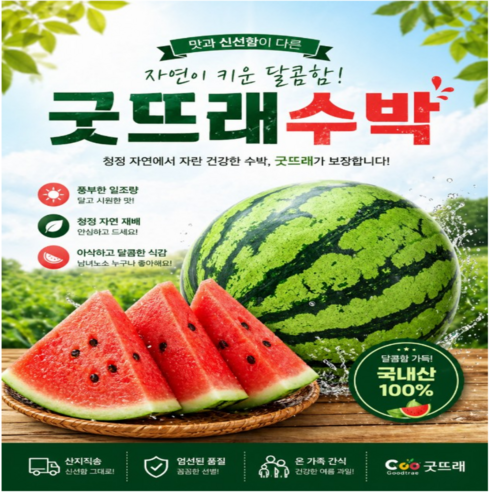 [산지직송] 오늘 수확한 부여 굿뜨래 고당도 수박
