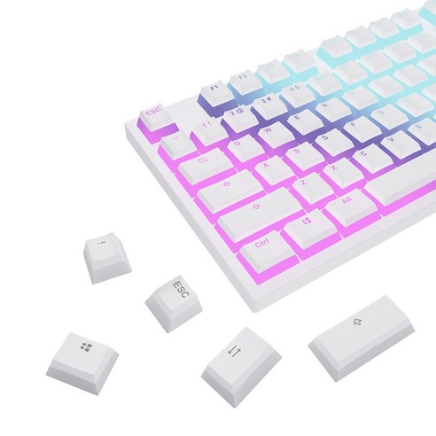 [LED투과 푸딩 키캡] PBT 119키 이중사출 OEM높이 풀세트 + 키캡리무버, BD119, 화이트