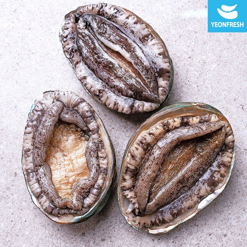 [연프레시] 완도활전복 1kg 모음전, 산소팩 무료배송