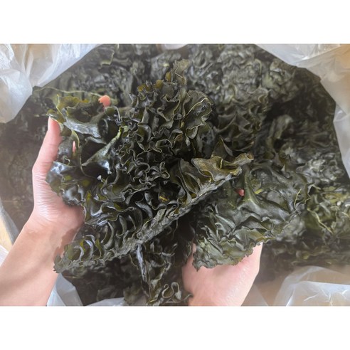완도 햇 미역귀 국산 저염 반찬용 간식용 미역귀다리 300g 지아수산, 1개, 100g
