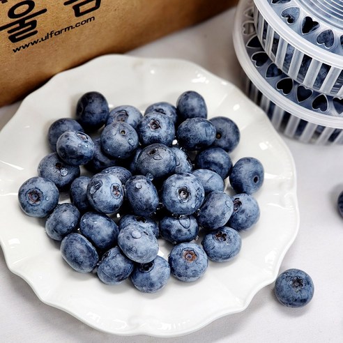 국내산 울팜 장흥 산청 블루베리 생과, 5개, 블루베리(특대)_100g