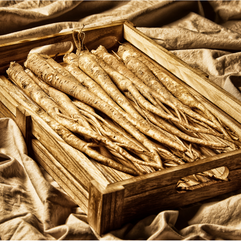 경동시장 국산 여주 식도라지 특상, 1개, 2kg(특상)