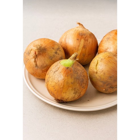 국내산 양파 산지직송 3kg 5kg 10kg, 1개, 10kg 소
