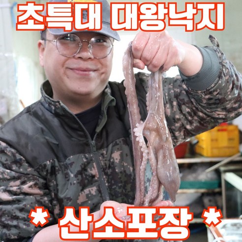 [산소포장] 국산 생물 산낙지 낙지 특대사이즈