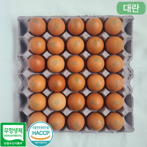 [JP팜] 난각번호 3번 무항생제 계란 신선한 대란 HACCP