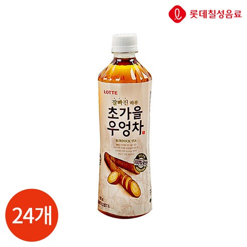롯데칠성음료 잘빠진 하루 초가을 우엉차