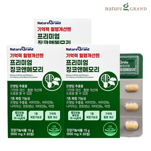 네이처그랜드 프리미엄 징코 메모리 1개월분 기억력개선 은행잎추출물