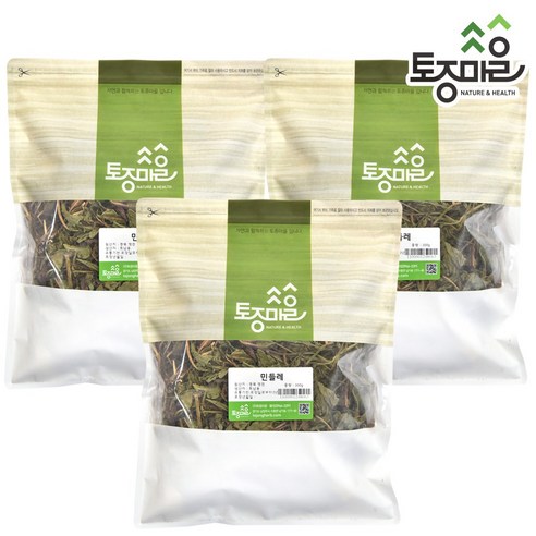 [토종마을] 국산 민들레(포공영) 300g 민들래차