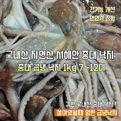 [산지직송] 국내산 자연산 서해안 새벽조업 살아있을때 급냉 최상급 중대 낙지 선물용 가정용
