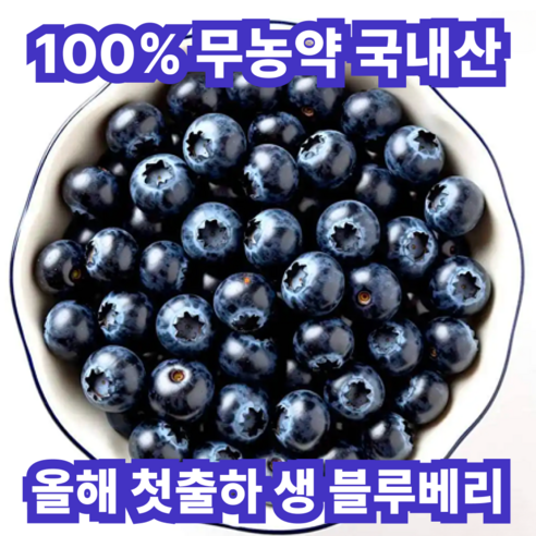 [올해첫출하]한정수량 국내산 무농약 생 블루베리, 5개, 100g