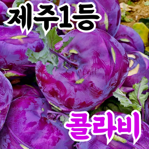 [타임특가] 제주1등 초고당도 건강농부 특가 콜라비