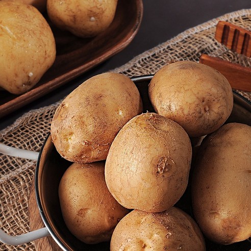 지금수확중 수미 햇 감자 포슬포슬 수미감자 당일선별방송, 햇 감자 5kg (왕특/반찬용), 1개