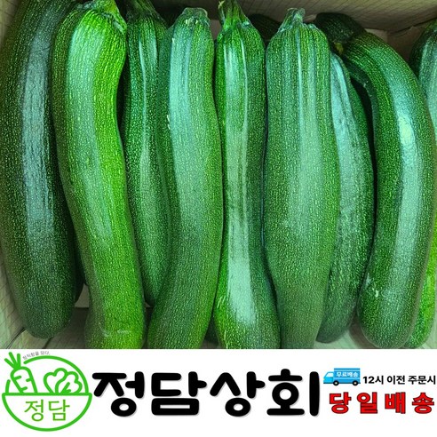 [ 정담상회 ] 국내산 쥬키니호박 주키니호박 못난이호박 3KG 5KG 10KG내외, 1박스, 10kg내외