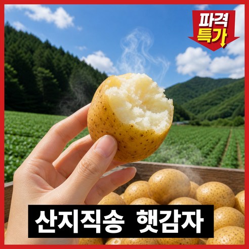 [100박스한정] 산지직송 포슬포슬 햇감자 수미감자
