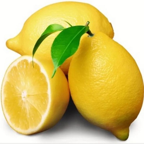 바이탈웰 제주 팬시 레몬 코스트코 친환경 생 수입 레몬 효능 칼로리 국내산 성분 1kg, 1개, 1kg
