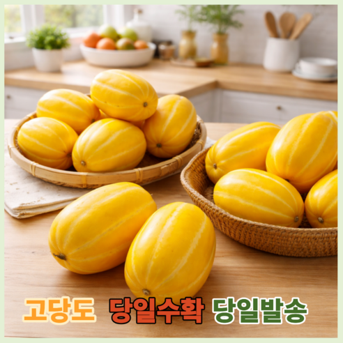 당일수확 성주 정품 꿀참외 고당도보장,, 산지직송, 1박스, 정품5kg(9~15과 내외)대과