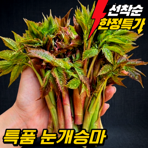 [한정수량 초특가] 강원도 눈개승마 삼나물 신선 산지직송 봄 제철