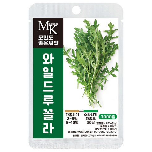 모칸도 좋은씨앗 와일드 루꼴라 씨앗 3000립 허브씨앗 잎줄기채소 야채 씨앗, 1개
