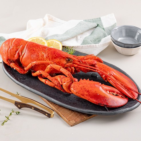 바다대로 신선한 냉동 랍스터 캐나다 자숙 랍스터, 1개, 400~450g