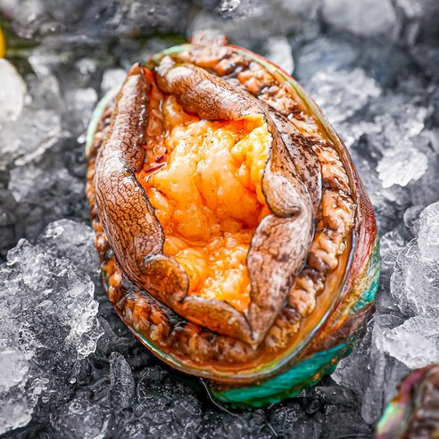 백화점 납품용 완도 활전복 선물세트 산지직송, 1세트, 실속형 1kg (12~13미)+고급가방 포장