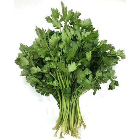 야채왕 이태리 파슬리 향나물 100g 이탈리안 파세리