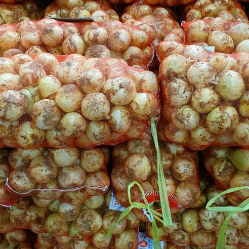 청원농산 햇양파 3kg, 5kg, 10kg