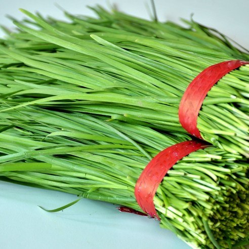 < 바른농산 > 당일수확 국내산 부추 묶음 (1단 700g), 4개, 700g