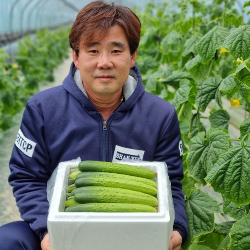 양주 바른농원 [인삼먹인] 백다다기  명품오이 2kg (10개입) 4kg (20개입) 10kg (50개입) 수분~가득 아삭하고 맛있는 백다다기 오이 (오이지용. 소박이용)