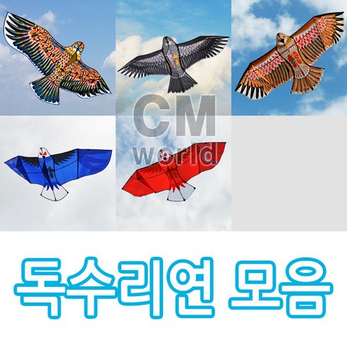씨엠월드 하늘의 왕 멋진 독수리연 모음 선택 (낙하산 천 재질), 03.황금 독수리연
