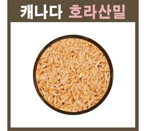 영양 가득한 슈퍼푸드, 착한골드카무트의 매력