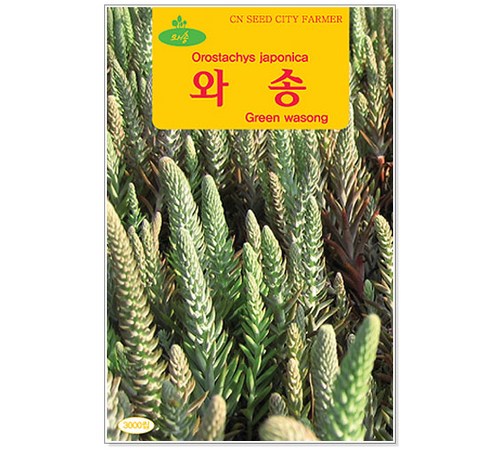 대씨 감의 영양 성분