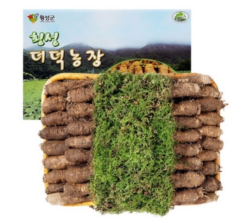 더덕 요리