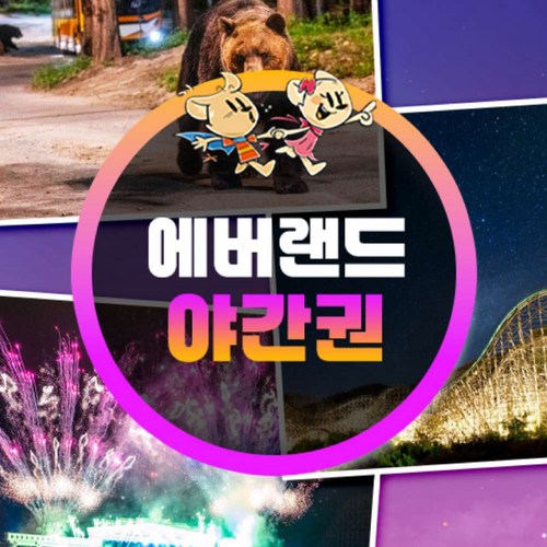 에버랜드 야간권 (~8/31)