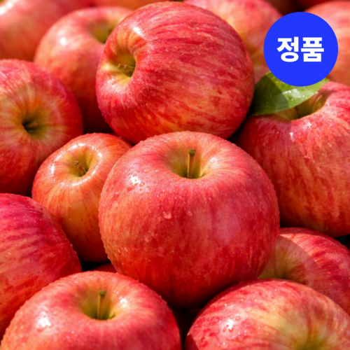[재구매율1위] 한정수량 산지직송 고당도 청송 부사 사과, 1박스, 5kg(가정용)