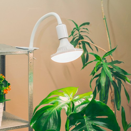 마녀박스 식물등 햇빛등 조명 무드등 인테리어조명 식물LED 식물생장 발육 24W WB-021, 햇빛등(WB-021) 클램프 세트