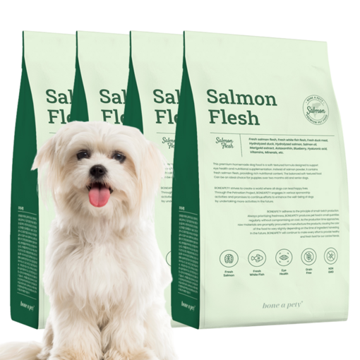 본아페티 플러스 강아지 연어 수제사료, 연어, 1kg, 4개